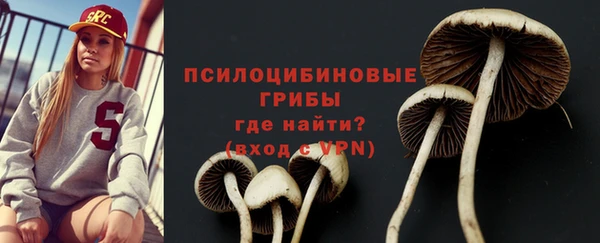 МДПВ Белокуриха