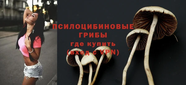 твердый Белоозёрский