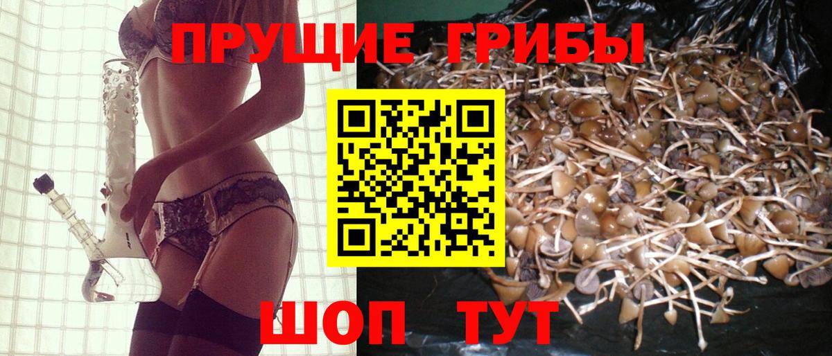 Галлюциногенные грибы MAGIC MUSHROOMS Валуйки