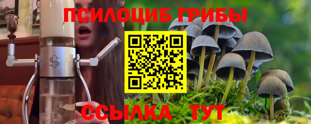 Галлюциногенные грибы Cubensis  Вход с VPN  Валуйки 